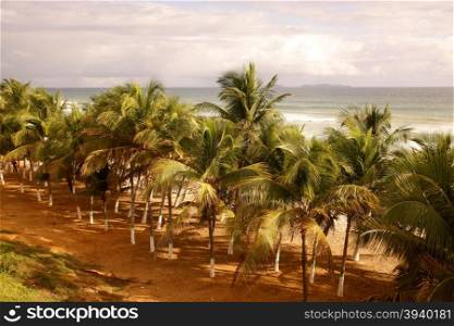 the Coast at the beach in the town of Cuacuco on the Isla Margarita in the caribbean sea of Venezuela.. SOUTH AMERICA VENEZUELA ISLA MARGARITA EL GUACUCO