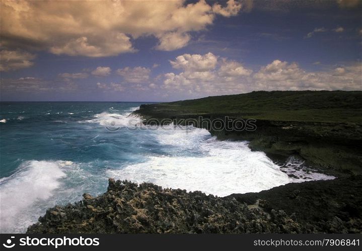 the coast at the Village of Punta Cana in the Dominican Republic in the Caribbean Sea in Latin America.. AMERICA CARIBIAN SEA DONINICAN REPUBLIC