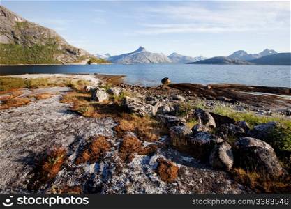The coast in northern Norway with mountains, ocean and rock