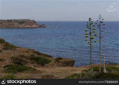 The coast of the Sant&rsquo;Antioco island in Sardinia