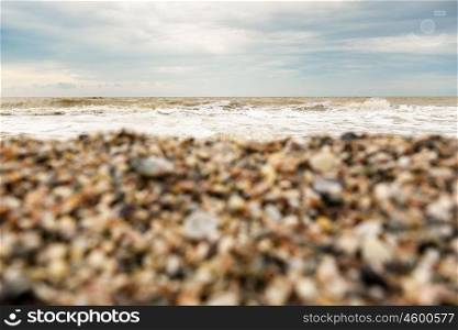 the coastline of seashells on a background of sea and blue sky