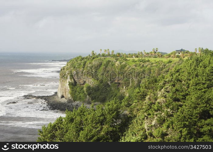 The coastline on Jeju Island in Korea can have high cliffs; there is a golf course along the top. The tropical climate creates a green jungle along the cliff edge.