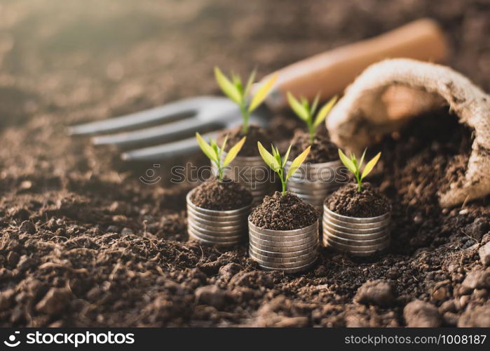 The coins are stacked on the ground.