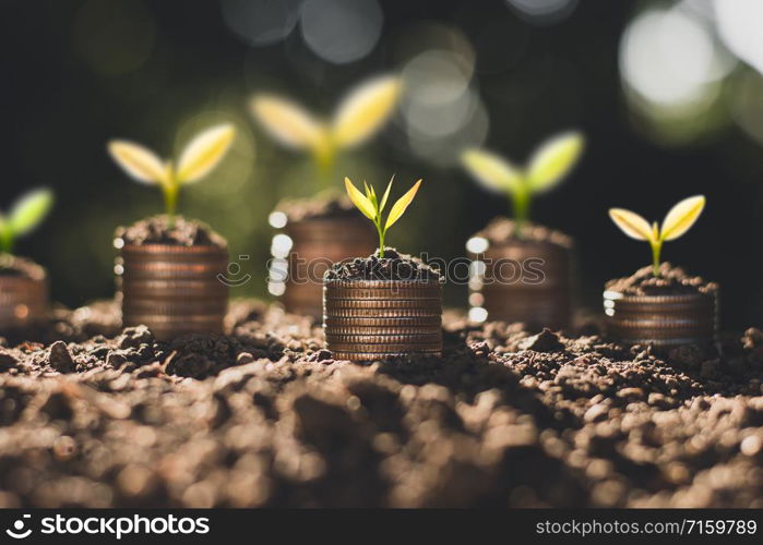 The coins are stacked on the ground and the seedlings are growing on top, the concept of saving money and financial growth.