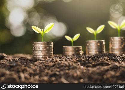The coins are stacked on the ground and the seedlings are growing on top.