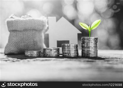 The coins stacked on old wooden and seedlings are growing on top, the concept of financial growth, black and white tone.
