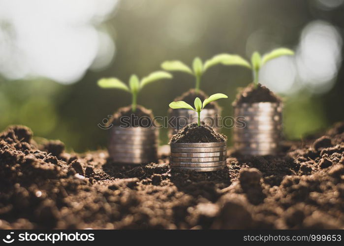 The coins were stacked on the ground.