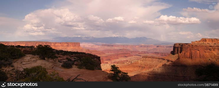 The Colorado River has cut out a massive canyon below and island in the sky