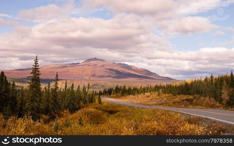 The colors turn to red, yellow, and orange during the fall in south central Alaska