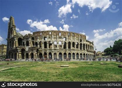 The Colosseum in Rome. Green grass