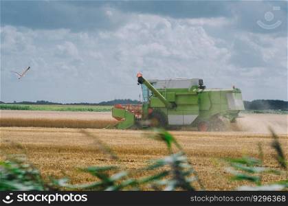 The combine harvests