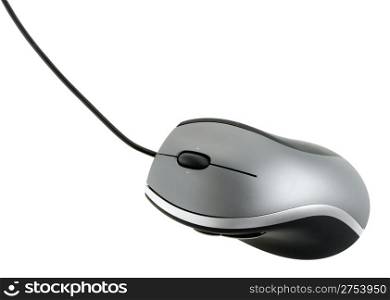 The computer mouse. It is isolated on a white background