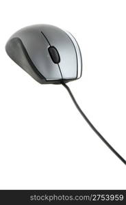 The computer mouse. It is isolated on a white background