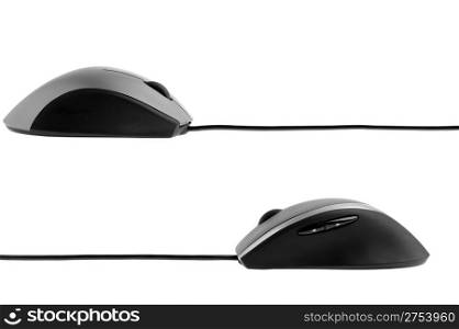 The computer mouse. It is isolated on a white background