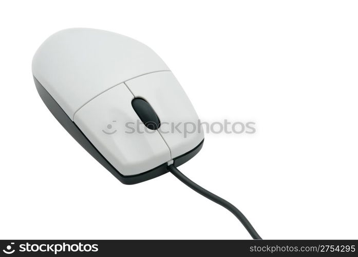 The computer mouse. The manipulator for management of the cursor on a computer