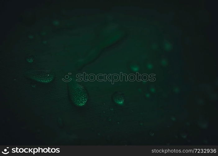 The concept of love the world green environment Water droplets on the leaves Blurred bokeh background