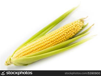 The corn cob isolated on white background