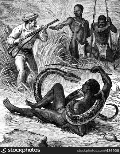 The country of snakes. The snake charmer, vintage engraved illustration. Journal des Voyage, Travel Journal, (1880-81).