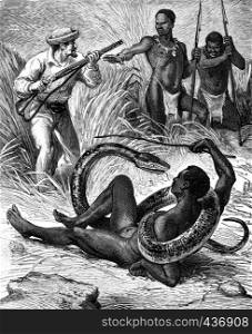 The country of snakes. The snake charmer, vintage engraved illustration. Journal des Voyage, Travel Journal, (1880-81).