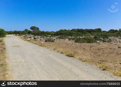 The countryside landscape around Giara di Gesturi, Sardinia