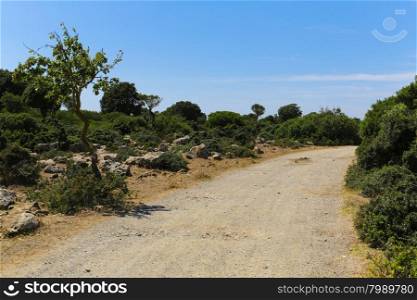 The countryside landscape around Giara di Gesturi, Sardinia