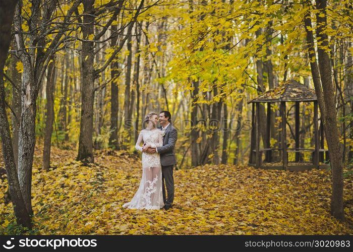 The couple in the autumn forest.. Portrait in full growth of the newlyweds embracing on a background of ye