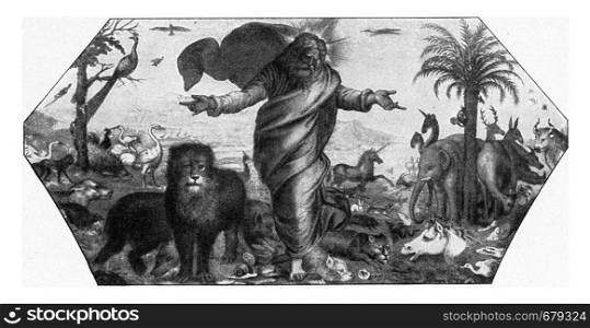 The creation of animals, vintage engraved illustration. From the Universe and Humanity, 1910.