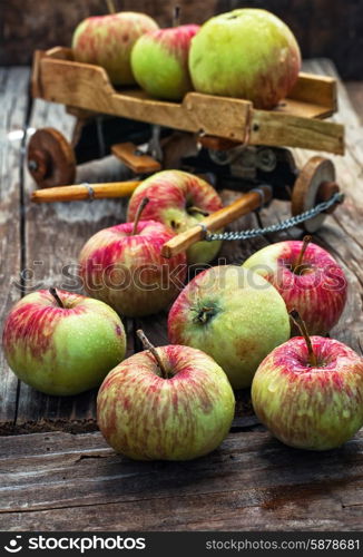 The crop of apples on wooden background on the background of the symbolic scale model of farmer&amp;#39;s wagon.Photo tinted