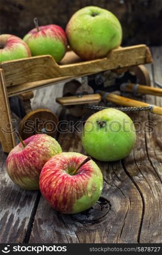 The crop of apples on wooden background on the background of the symbolic scale model of farmer&amp;#39;s wagon.Photo tinted