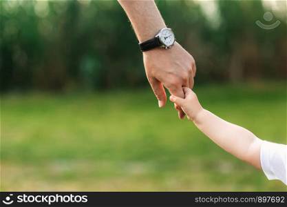 the dad holds the child by the hand. the dad holds the child by the hand. a walk in the nature