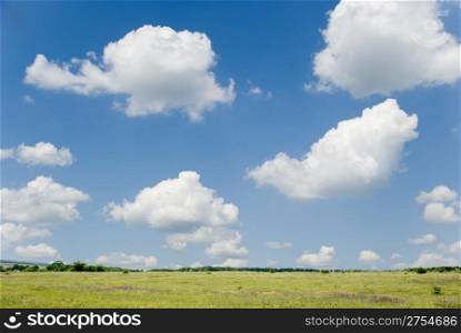 The dark blue sky with set of contrast clouds and a green field