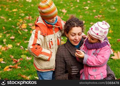 The daughter shows a chestnut to mother and brother in autumnal park