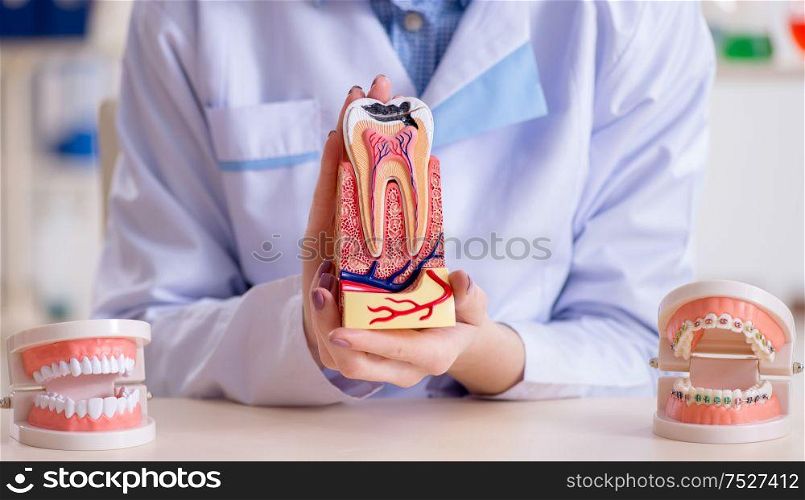 The dentist practicing work on tooth model. Dentist practicing work on tooth model