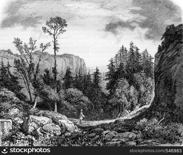 The Desert of JJ Rousseau, vintage engraved illustration. Magasin Pittoresque 1861.