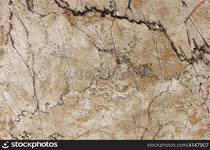 The detail of stone texture