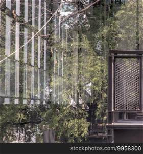 The details of tree branches and green leaf reflecting in the glass wall. Selective focus.