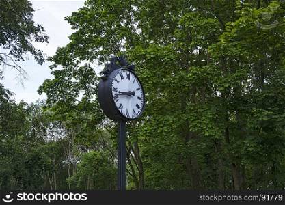 The dial of a large clock in a city park against a background of green trees