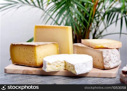 the different french cheeses Normandy and Savoie
