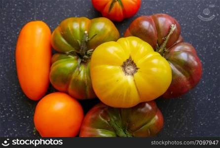 the different rustic tomatoes from the garden