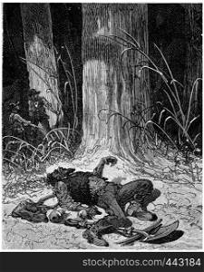 The digger William Dietz starved to death in the woods, vintage engraved illustration. Journal des Voyage, Travel Journal, (1880-81).