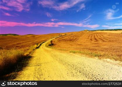 The Dirt Road Between The Fields Of Tuscany