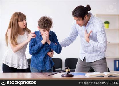 The divorcing family trying to divide child custody. Divorcing family trying to divide child custody