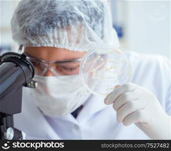 The doctor researching virus treatment in lab. Doctor researching virus treatment in lab