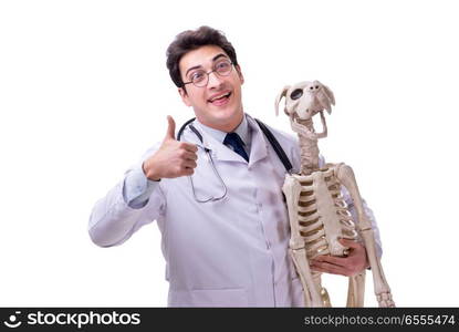 The doctor with dog skeleton isolated on white background. Doctor with dog skeleton isolated on white background