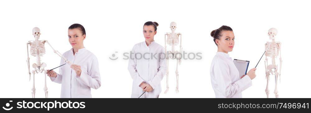 The doctor with skeleton on white. Doctor with skeleton on white