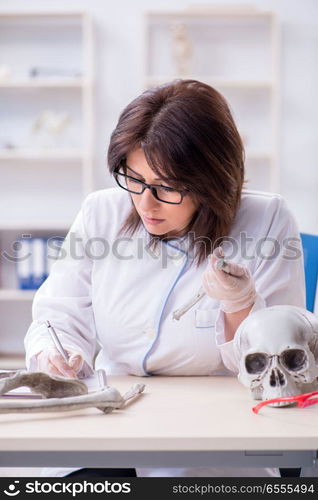 The doctor working in the lab on skeleton. Doctor working in the lab on skeleton