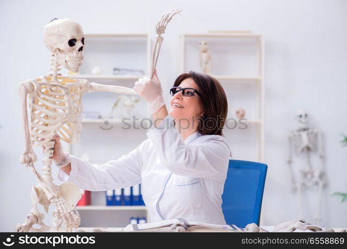 The doctor working in the lab on skeleton. Doctor working in the lab on skeleton