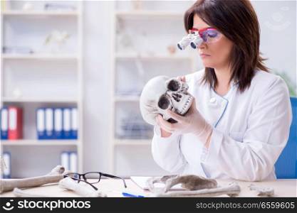 The doctor working in the lab on skeleton. Doctor working in the lab on skeleton