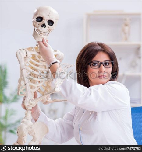 The doctor working in the lab on skeleton. Doctor working in the lab on skeleton