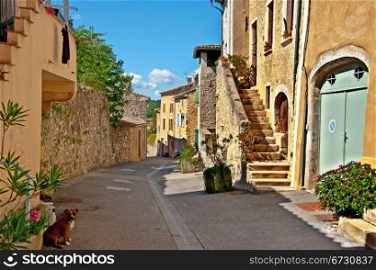 The Dog on a Deserted Street of the French City of Rochemaure